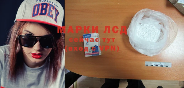 индика Карталы