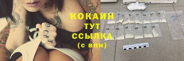 индика Карталы