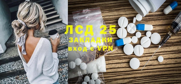 индика Карталы