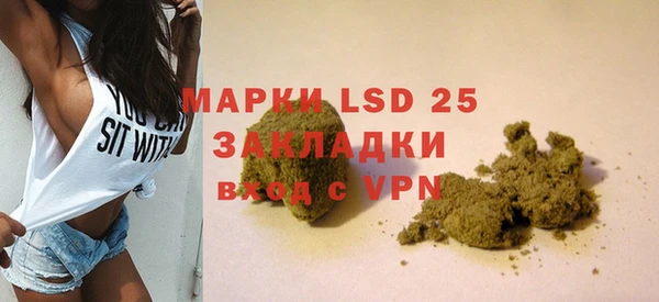 индика Карталы