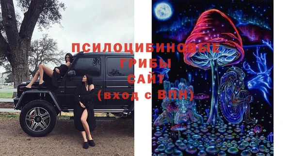 индика Карталы