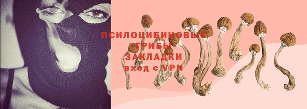 индика Карталы