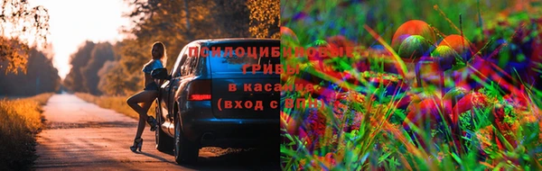индика Карталы